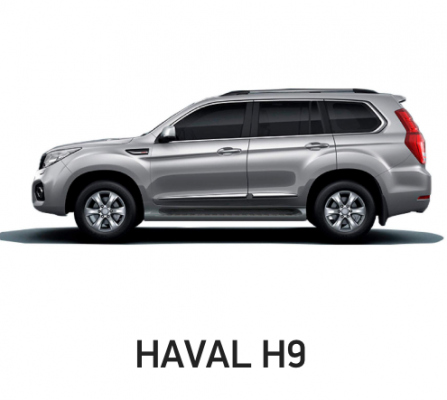 Ремонт Ремонт, Покраска, Замена Крыла Haval H9